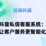 AI在线客服系统-抖音私信客服系统：让客户服务更智能化