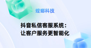 AI在线客服系统-抖音私信客服系统：让客户服务更智能化