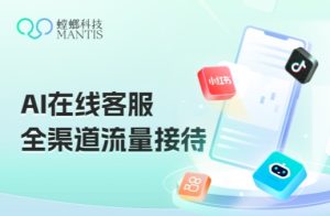 AI在线客服系统-螳螂索电机器人-医疗AI在线客服系统