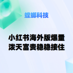 螳螂AI在线客服系统：小红书私信客服助力医疗国际化