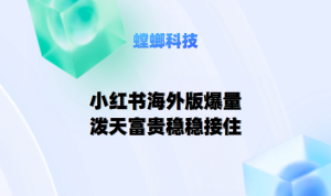螳螂AI在线客服系统：小红书私信客服助力医疗国际化