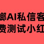 AI 私信客服系统在瑜伽美容行业对接小红书私信、快手私信等