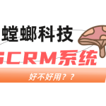 提升客户体验的利器——美容行业私域运营系统与AI在线客服的完美结合