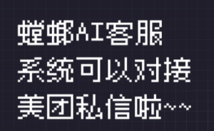 美团本地生活客服私信接待，快速解答客户的需求
