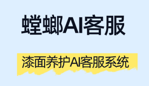 漆面养护AI客服系统：从项目选择到效果可视化，构建标准化服务与客户信任
